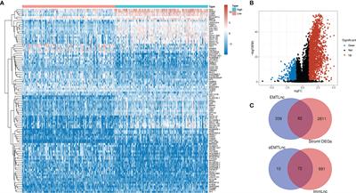 Identification and Validation of a Stromal EMT Related LncRNA Signature as a Potential Marker to Predict Bladder Cancer Outcome